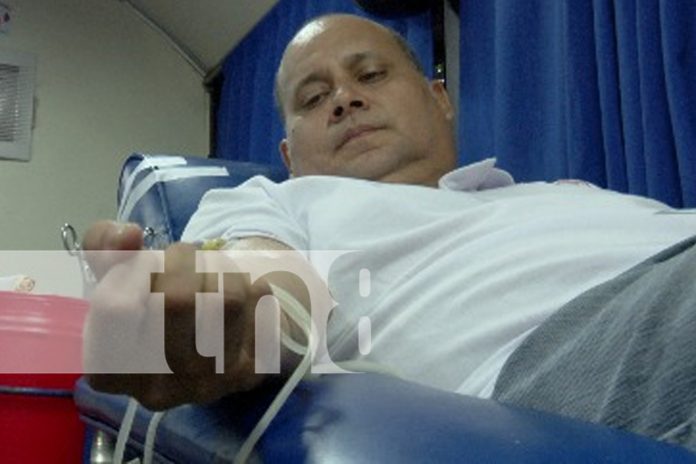 Foto: Estudiantes del American College se unen a la donación de sangre /TN8 Foto: Estudiantes del American College se unen a la donación de sangre /TN8