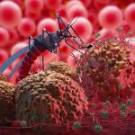 Disminuyen los casos de Malaria, reporta Ministerio de Salud en Nicaragua Foto: Disminuyen los casos de Malaria / Cortesía