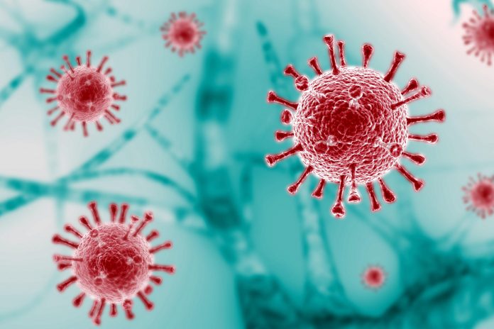 1 Foto: COVID-19 / Cortesía