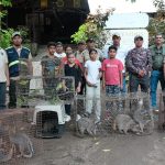 MARENA libera fauna silvestre regresa a su hogar en Chocoyero – El Brujo Foto:MARENA celebra rescate y liberación de fauna rehabilitada/CortesíaFoto:MARENA celebra rescate y liberación de fauna rehabilitada/Cortesía