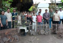 Foto:MARENA celebra rescate y liberación de fauna rehabilitada/CortesíaFoto:MARENA celebra rescate y liberación de fauna rehabilitada/Cortesía