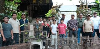 Foto:MARENA celebra rescate y liberación de fauna rehabilitada/CortesíaFoto:MARENA celebra rescate y liberación de fauna rehabilitada/Cortesía