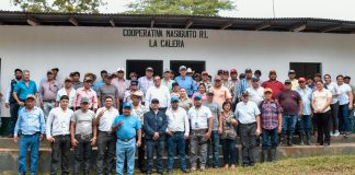 Foto: IPSA avanza en control del Gusano Barrenador y garrapatas en Camoapa/CortesíaFoto: IPSA avanza en control del Gusano Barrenador y garrapatas en Camoapa/Cortesía