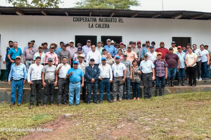 1 Foto: IPSA avanza en control del Gusano Barrenador y garrapatas en Camoapa/CortesíaFoto: IPSA avanza en control del Gusano Barrenador y garrapatas en Camoapa/Cortesía