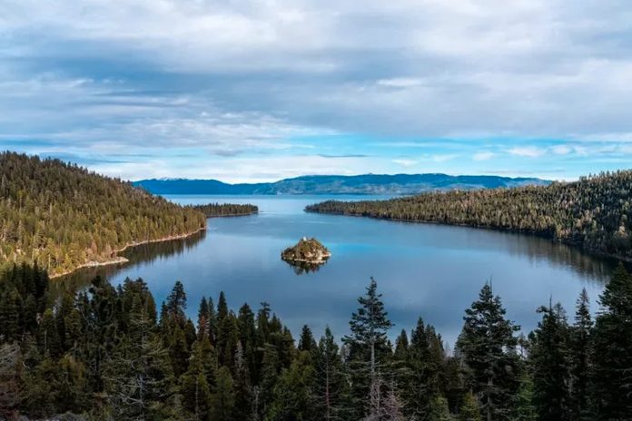 Foto: residente infectado con peste tras viaje de campamento/Cortesía Foto: residente infectado con peste tras viaje de campamento/Cortesía