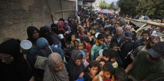 Foto: La ONU declara oficialmente hambruna total en la Franja de Gaza /Cortesía