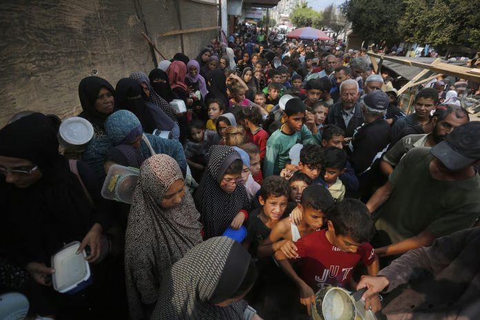 Foto: La ONU declara oficialmente hambruna total en la Franja de Gaza /Cortesía Foto: La ONU declara oficialmente hambruna total en la Franja de Gaza /Cortesía