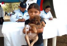 Foto:Penitenciario organiza jornada de atención animal en Granada/TN8