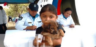 Foto:Penitenciario organiza jornada de atención animal en Granada/TN8