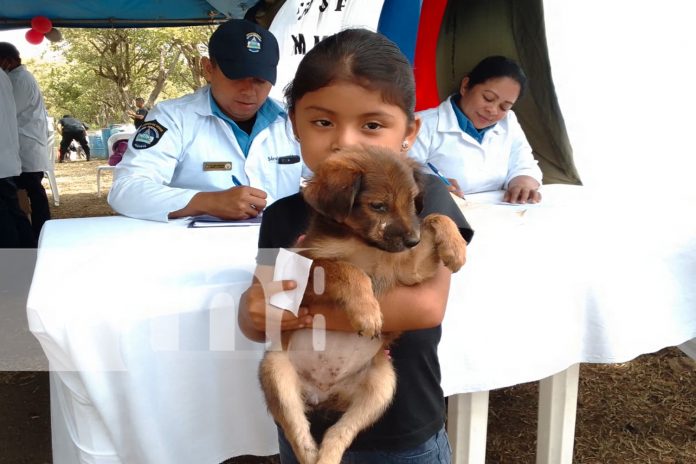 Foto:Penitenciario organiza jornada de atención animal en Granada/TN8