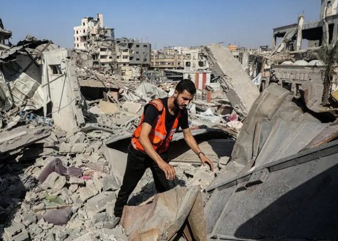 Foto: Estudiantes muertos en Gaza /cortesía Foto: Estudiantes muertos en Gaza /cortesía