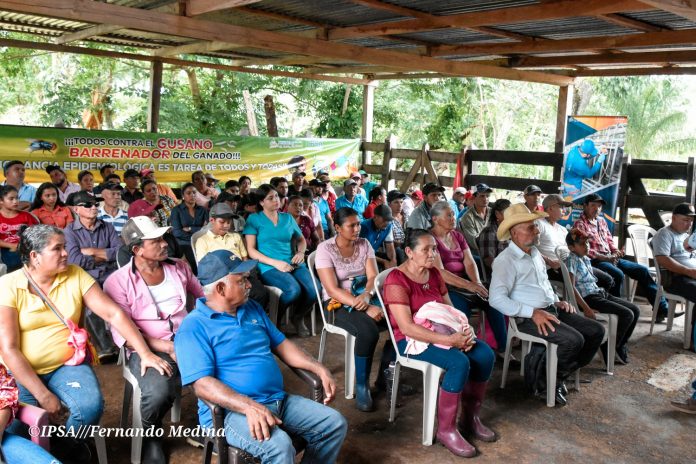 Foto: Ganaderos reciben acompañamiento del IPSA/ Cortesía