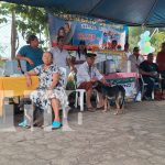 Minsa lanza campaña nacional de vacunación antirrábica canina en León Foto: Minsa promueve jornada antirrábica nacional/TN8