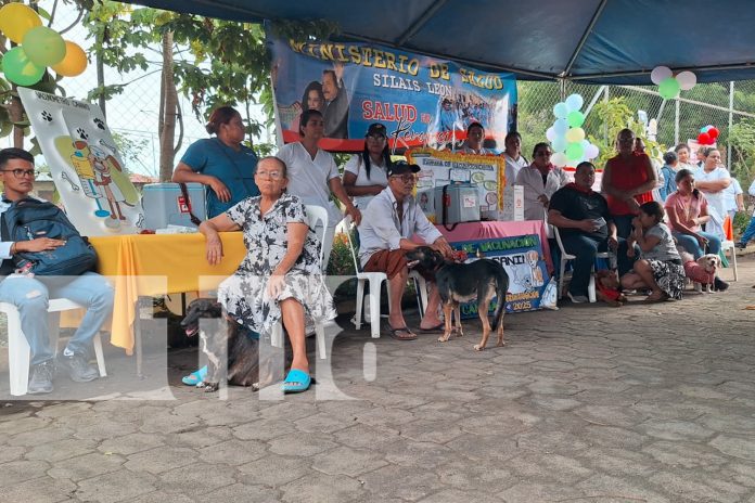 Foto: Minsa promueve jornada antirrábica nacional/TN8