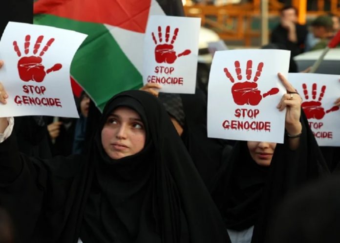 Foto: Noruego impulsa justicia para Palestina /cortesía Foto: Noruego impulsa justicia para Palestina /cortesía