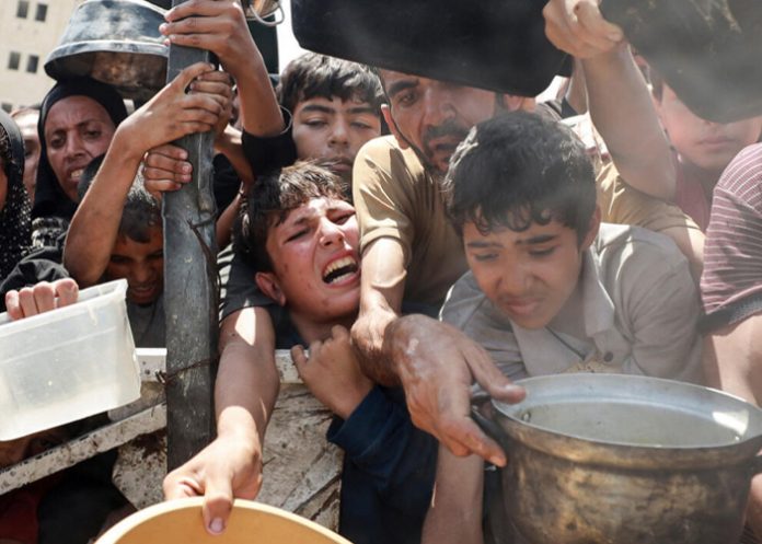 Foto: Hambruna en Gaza /cortesía Foto: Hambruna en Gaza /cortesía