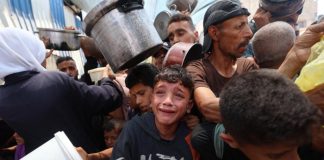 Foto: Crisis humanitaria en Gaza /cortesía