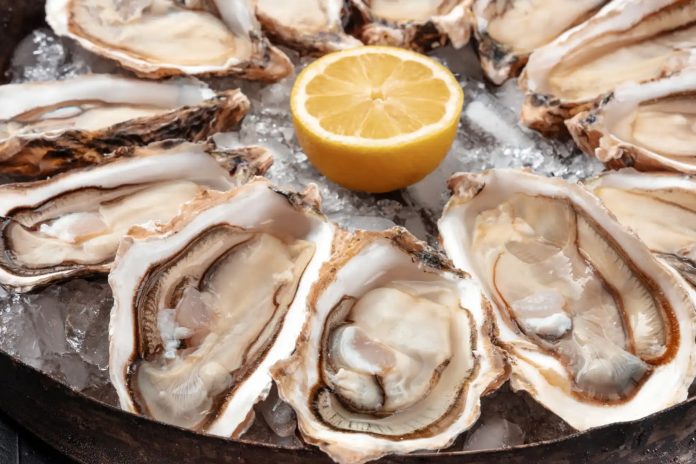 Foto: Muertes por la bacteria carnívora tras comer ostras crudas/Cortesía