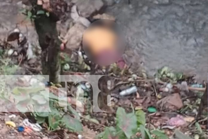 Foto: Río de Bonanza se cobra una vida / TN8 Foto: Río de Bonanza se cobra una vida / TN8