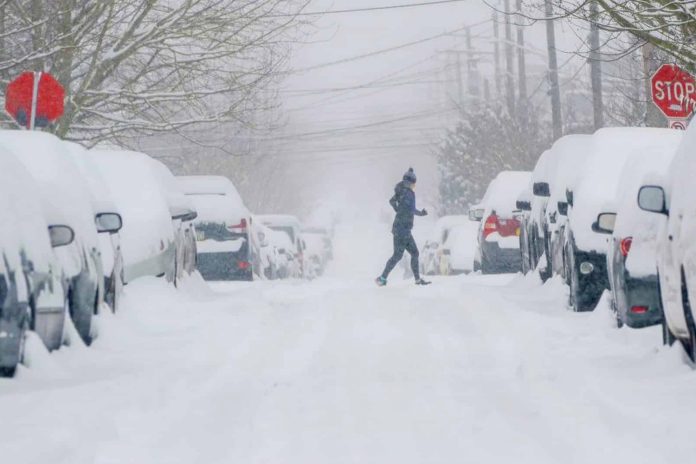 Foto: Fuerte nevada azota el sureste de Australia /Cortesía Foto: Fuerte nevada azota el sureste de Australia /Cortesía