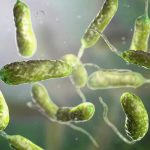 Alerta en EE.UU.: la «bacteria carnívora» se propaga y ya deja 8 muertos Foto: Temor en EE.UU. por bacteria que mata /Cortesía