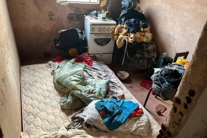 Foto: Rescatan a 563 personas de la esclavitud en Brasil /Cortesía