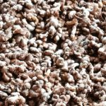 Nueva Guinea reporta 4,300 quintales de jengibre acopiados entre enero y julio