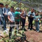 Jóvenes viven experiencia sobre el cuido de la naturaleza en reserva natural en Madriz Foto: Jóvenes del movimiento ambientalista en experiencia sobre la naturaleza/TN8