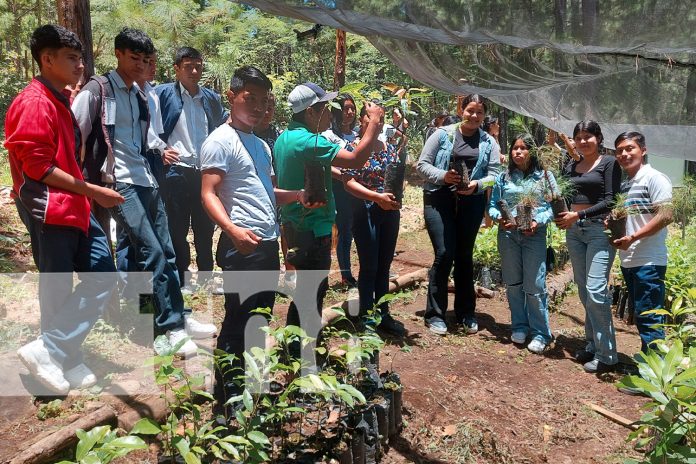 Foto: Jóvenes del movimiento ambientalista en experiencia sobre la naturaleza/TN8