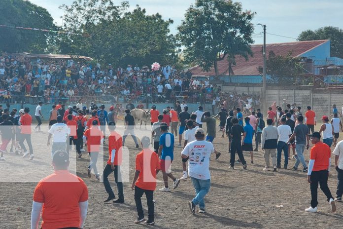 Foto: San judas, corrida de toros en honor a Santo Domingo/TN8 Foto: San judas, corrida de toros en honor a Santo Domingo/TN8