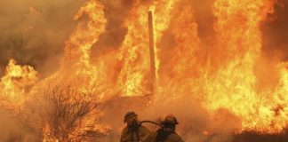 Foto: Incendios fuera de control devoran California /Cortesía