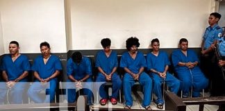 Foto: Capturan a banda con más de 1,000 libras de carne de caballo en Managua/TN8