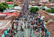 Granada estalla en alegría popular: Tope de Toros contó con más de 50 mil asistentes Foto: Granada estalla en alegría popular: Tope de Toros contó con más de 50 mil asistentes/TN8