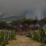 Italia se moviliza ante voraz incendio en el Parque Nacional del Vesubio Foto: Italia en alerta tras incendio /cortesía