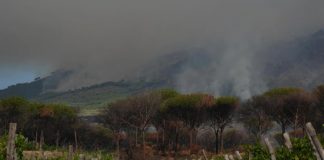 Foto: Italia en alerta tras incendio /cortesía