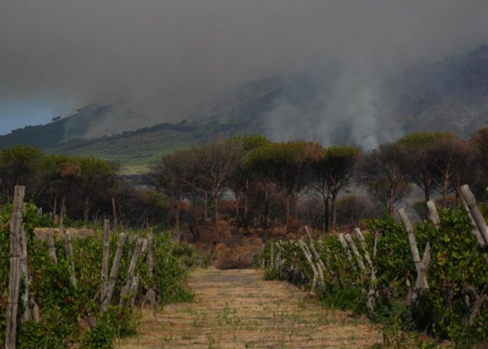 Foto: Italia en alerta tras incendio /cortesía Foto: Italia en alerta tras incendio /cortesía