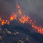 España enfrenta el mayor incendio forestal de su historia Foto: Incendio devasta España /cortesía
