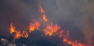 Foto: Incendio devasta España /cortesía