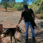 Ganadería menor impulsa seguridad alimentaria en Nicaragua