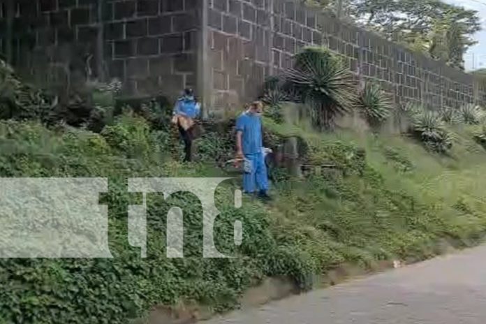 Foto: hallazgo de cadáver cerca de hospital en Carazo/TN8 Foto: hallazgo de cadáver cerca de hospital en Carazo/TN8