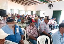 Más de 100 productores unidos contra el Gusano Barrenador en Camoapa Foto: IPSA protege la economía de familias rurales de Camoapa / Cortesía