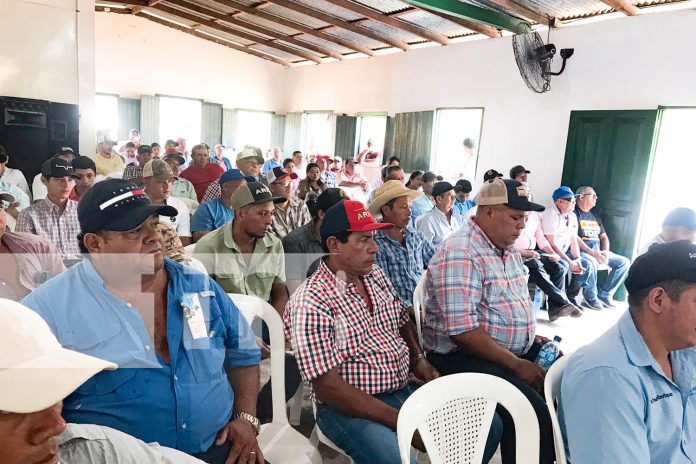 Foto: IPSA protege la economía de familias rurales de Camoapa / Cortesía Foto: IPSA protege la economía de familias rurales de Camoapa / Cortesía