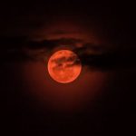 Todo sobre la «luna de sangre»: cuándo y dónde ver el espectacular eclipse Foto: La luna de sangre vuelve /cortesía