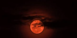 Foto: La luna de sangre vuelve /cortesía