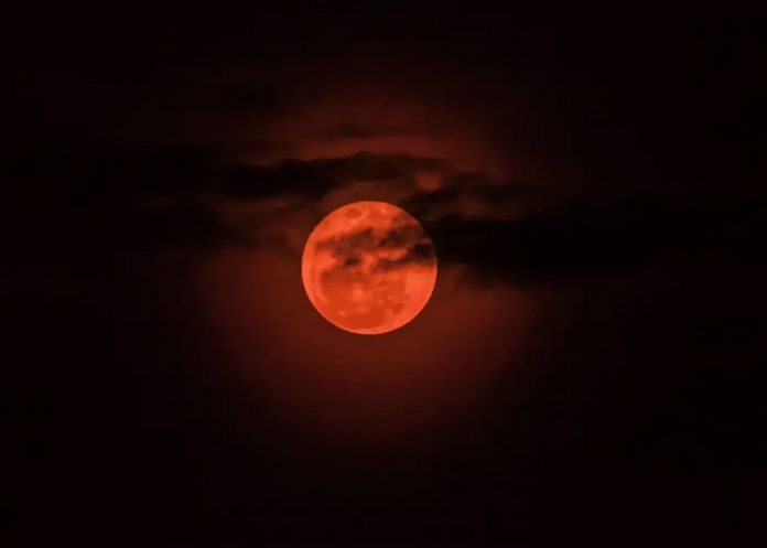 Foto: La luna de sangre vuelve /cortesía Foto: La luna de sangre vuelve /cortesía
