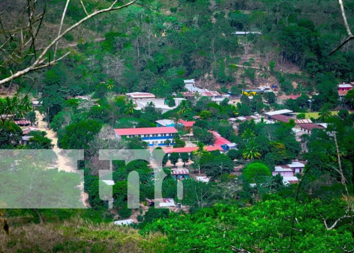 Foto: Horror en Jinotega /TN8 Foto: Horror en Jinotega /TN8