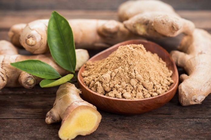 La Franja de Gaza atraviesa una catástrofe humanitaria sin precedentes. El Ministerio de Salud gazatí informó que la cifra de muertes por desnutrición ascendió a 281 personas, de las cuales 114 eran menores de edad.  #Mundo   https://www.tn8.tv/mundo/gaza-agoniza-de-hambre-281-muertos-por-desnutricion-114-son-ninos/ La Franja de Gaza atraviesa una catástrofe humanitaria sin precedentes. El Ministerio de Salud gazatí informó que la cifra de muertes por desnutrición ascendió a 281 personas, de las cuales 114 eran menores de edad. #Mundo https://www.tn8.tv/mundo/gaza-agoniza-de-hambre-281-muertos-por-desnutricion-114-son-ninos/