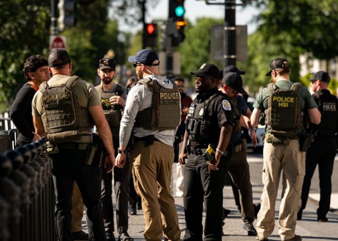 Foto: La nueva ofensiva de Trump contra el crimen /cortesía Foto: La nueva ofensiva de Trump contra el crimen /cortesía