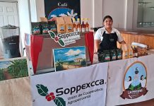 Arte latte y café de calidad impulsan la creatividad emprendedora en Managua Foto: Arte latte y café de calidad impulsan la creatividad emprendedora en Managua/Cortesía
