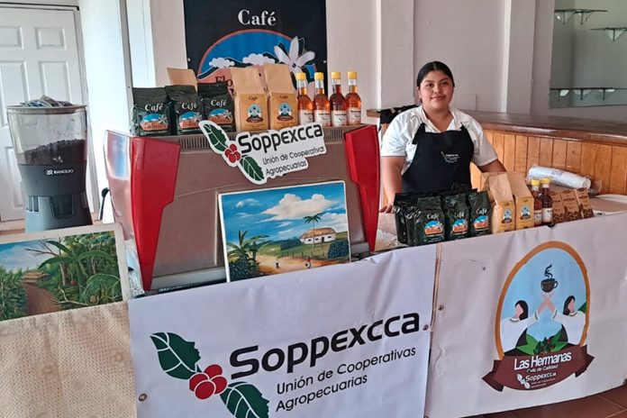 2 Foto: Arte latte y café de calidad impulsan la creatividad emprendedora en Managua/Cortesía